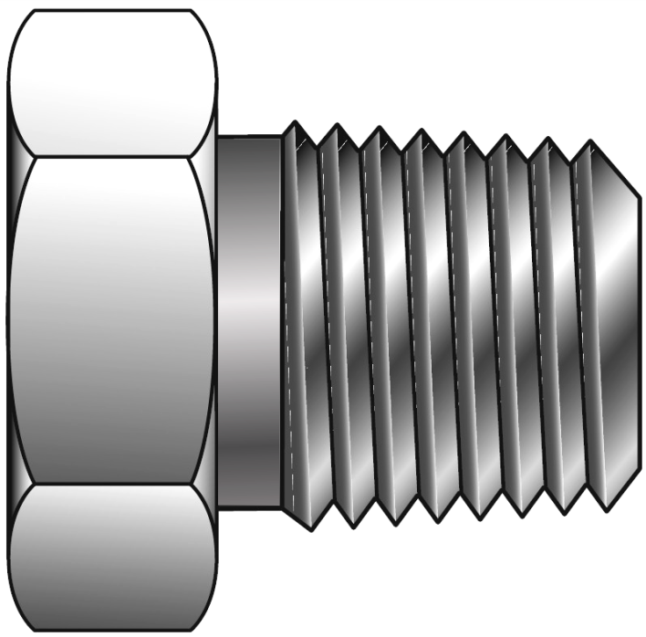 BSPT Male Hex Plug